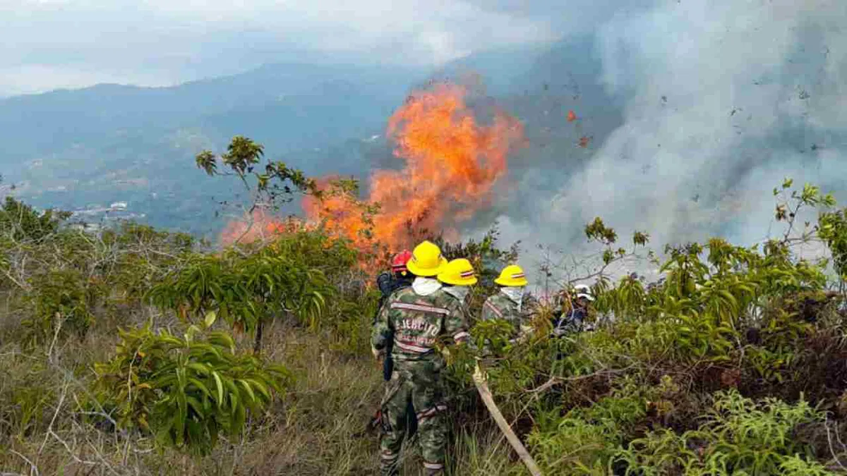 Colombia en alerta por incremento de incendios forestales ante falta de lluvias y aumento de temperatura