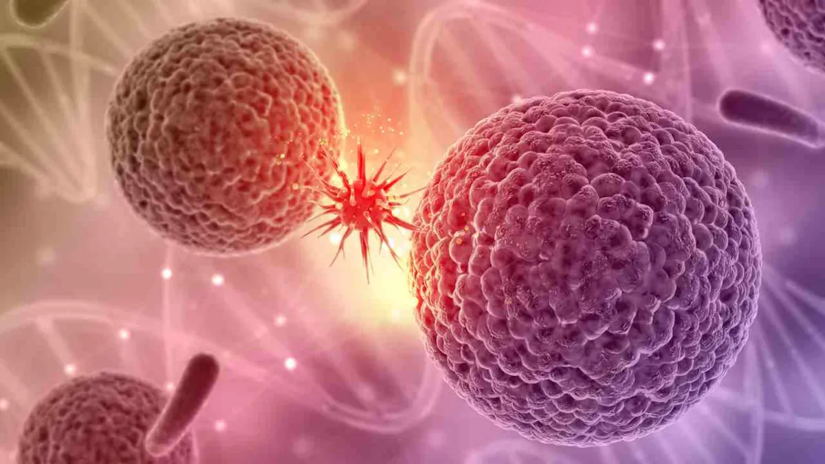 Científicos crean bacterias modificadas para combatir tumores con luz infrarroja