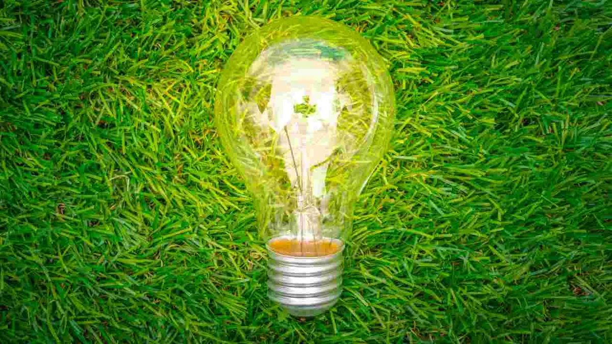 Latinoamérica será clave en la implantación de energías verdes en 2025, según expertos