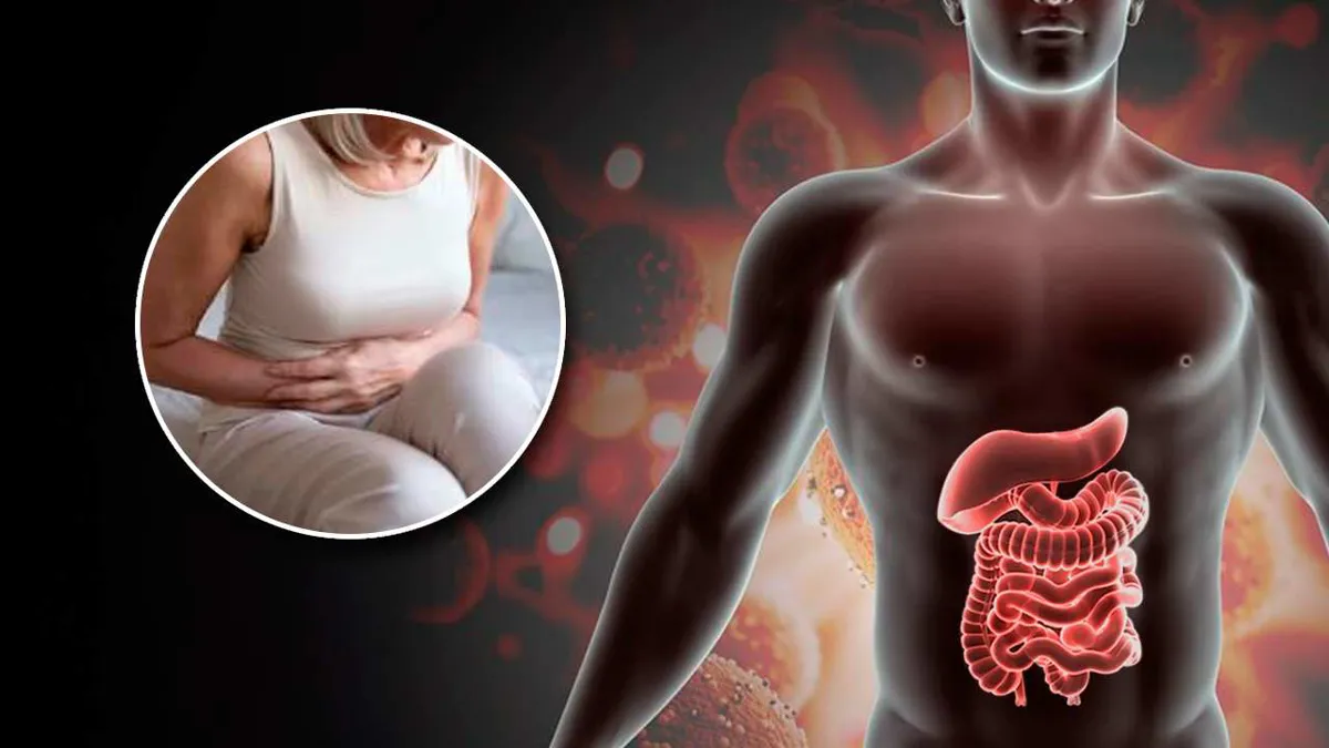 Descubren que el sistema nervioso facilita el crecimiento del cáncer de estómago