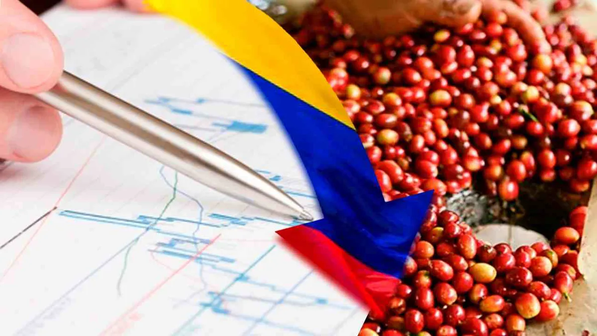 La producción de café de Colombia cae un 6 % en febrero