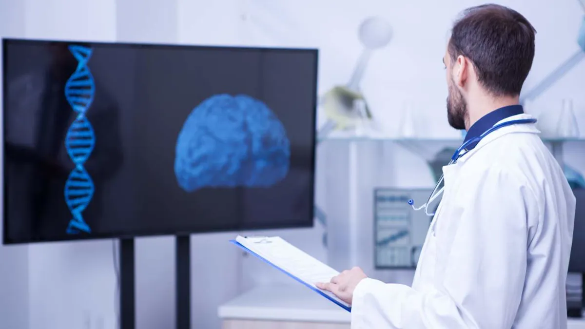 Descubren los cambios genéticos en el cerebro que provocan el envejecimiento