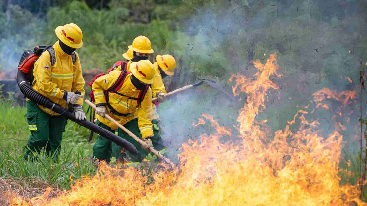 Más de 300 hectáreas consumió incendios forestales en Santander
